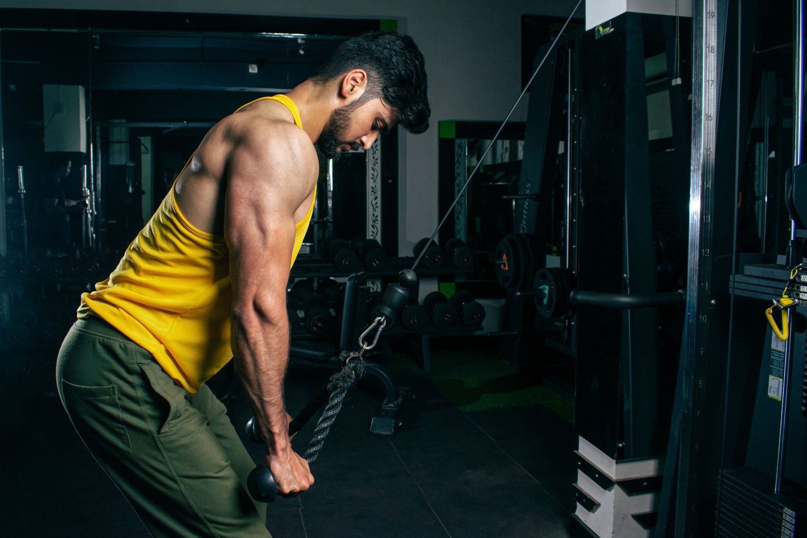 Muscle building strength training and hypertrophy programs